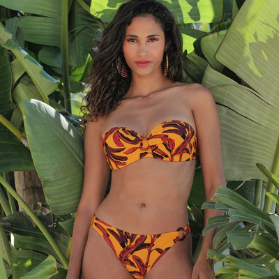 Antigel La Melanesia