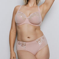 Full Briefs Lingerie 