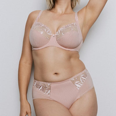 Full Briefs Lingerie 