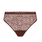 Antigel Exquise En Dentelle Brown Briefs