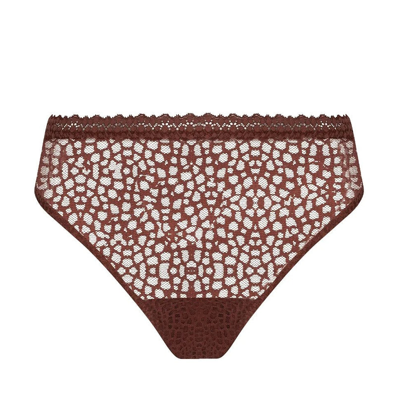 Antigel Exquise En Dentelle Brown Briefs