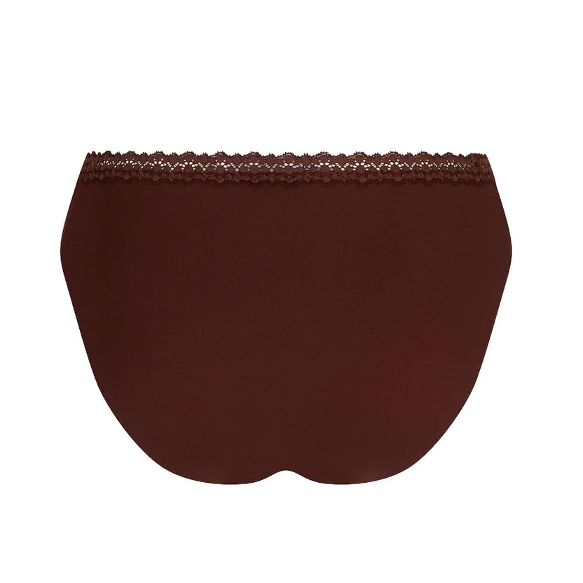 Antigel Exquise En Dentelle Brown Briefs Back