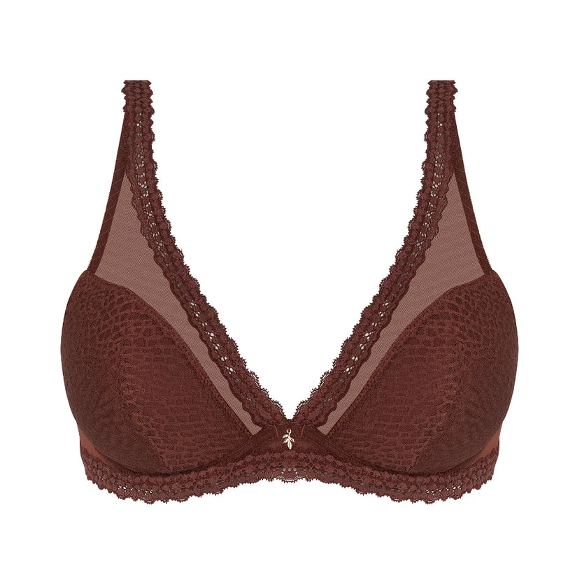 Antigel Exquise En Dentelle Brown Plunge Bra