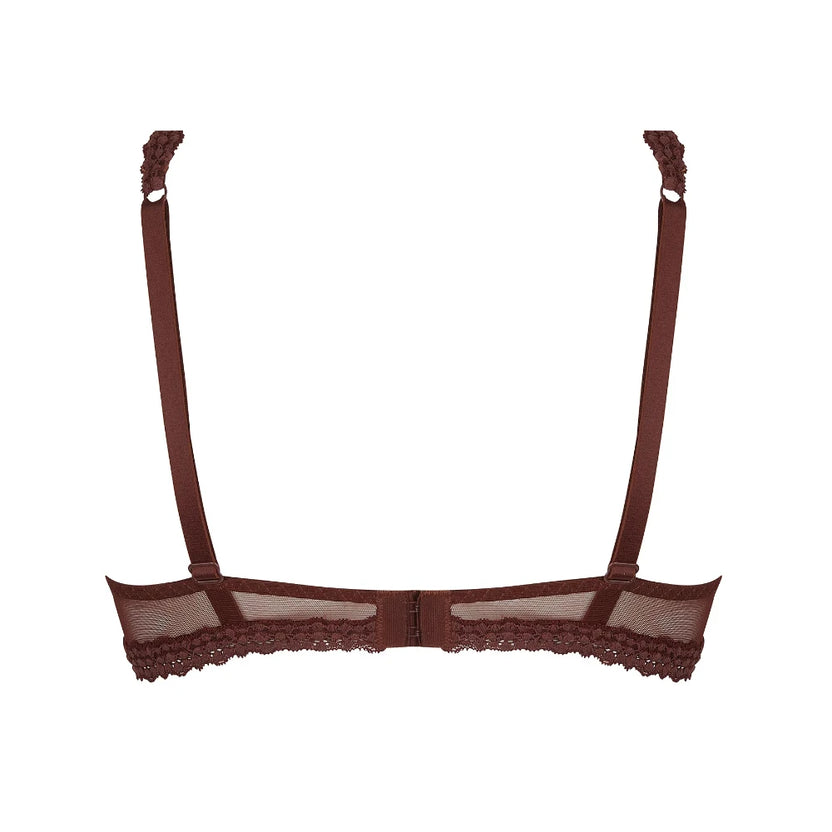 Antigel Exquise En Dentelle Brown Plunge Bra Back