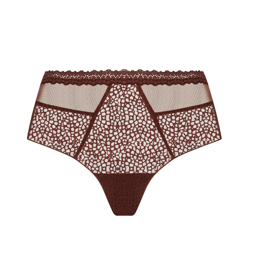 Antigel Exquise En Dentelle Brown Shorty