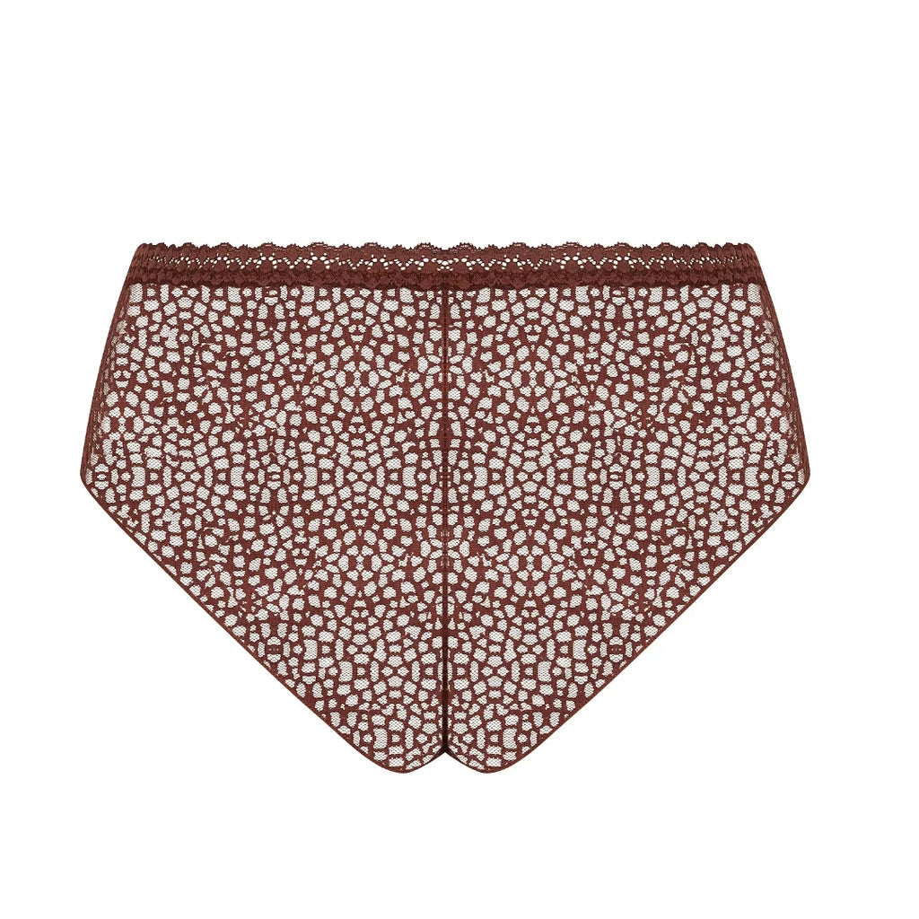 Antigel Exquise En Dentelle Brown Shorty Back