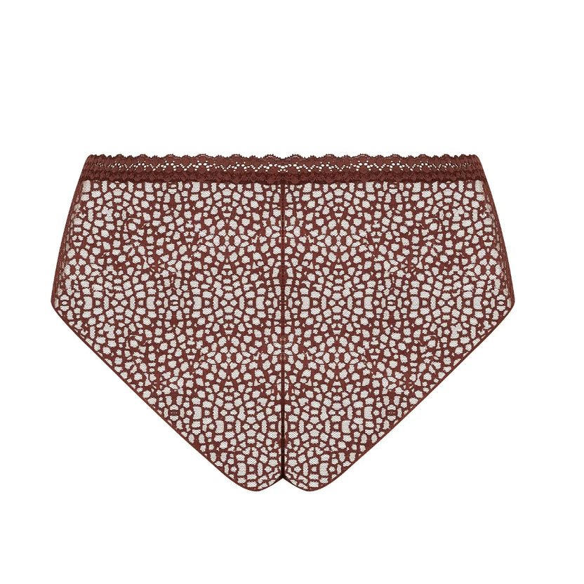 Antigel Exquise En Dentelle Brown Shorty Back