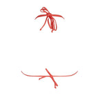 Antigel La Smartissime Coral Triangle Bikini Top Back