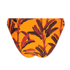 Antigel Swimwear La Melanesia Jaune Banana Seduction Bikini Brief Back