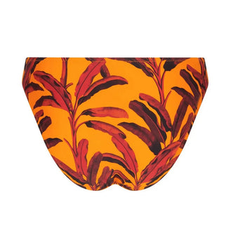 Antigel Swimwear La Melanesia Jaune Banana Wide Sided Bikini Brief Back