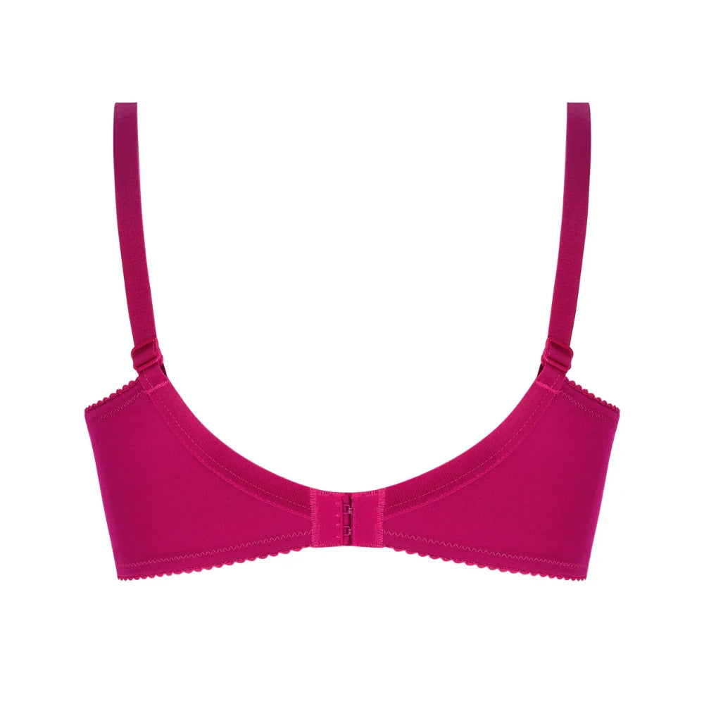 Lise Charmel Splendeur Soie Carmin 3 Part Bra Back