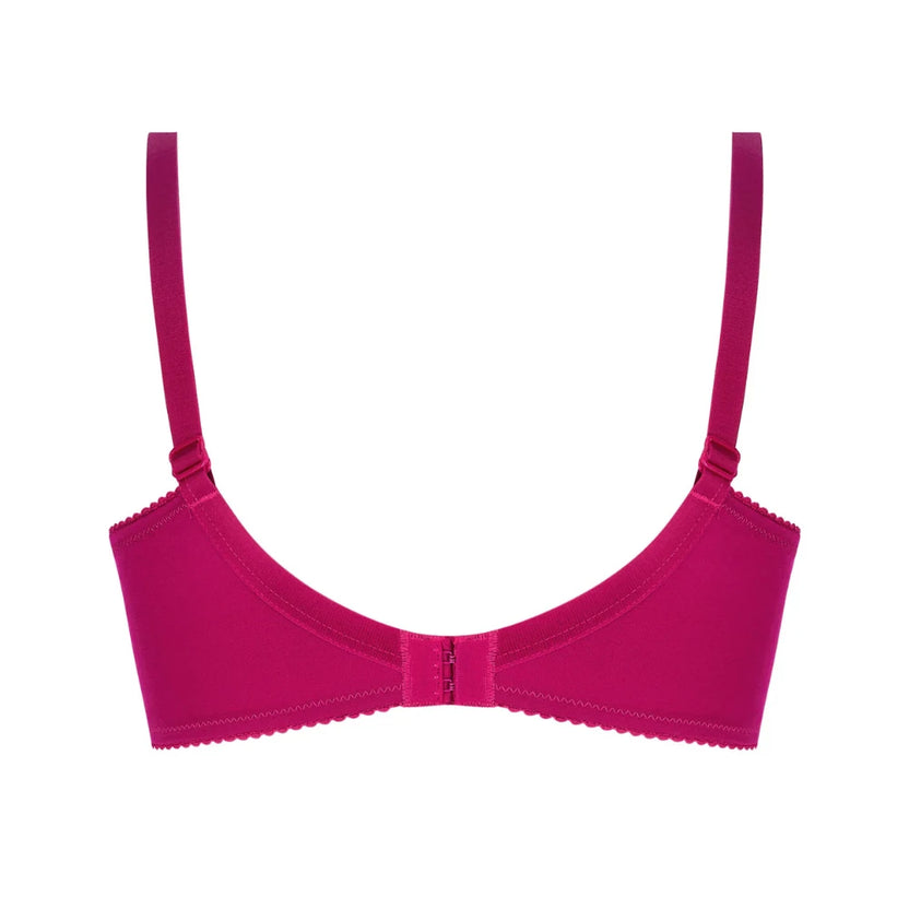 Lise Charmel Splendeur Soie Carmin 3 Part Bra Back