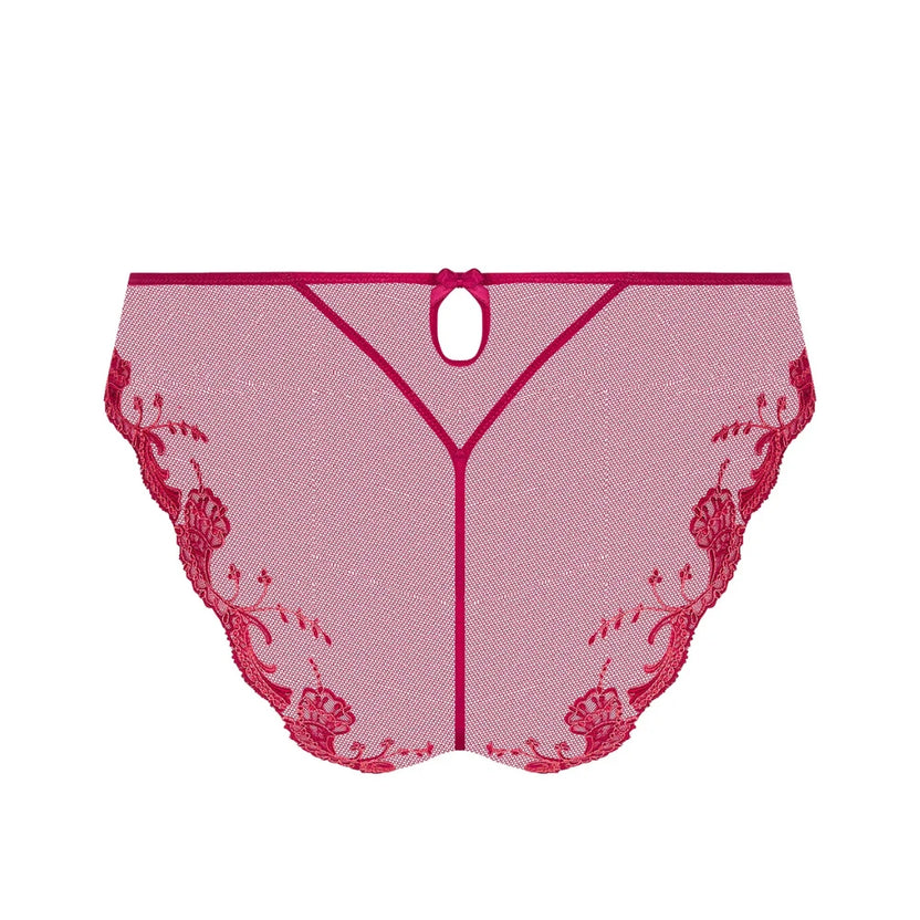 Lise Charmel Splendeur Soie Carmin Italian Briefs Back
