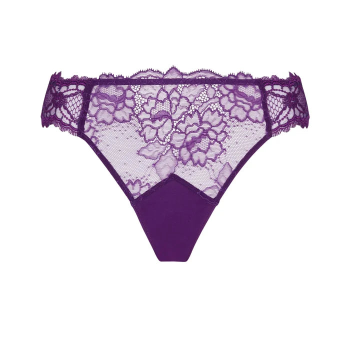 Lise Charmel Sublime En Dentelle Briefs