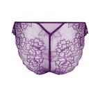Lise Charmel Sublime En Dentelle Briefs Back