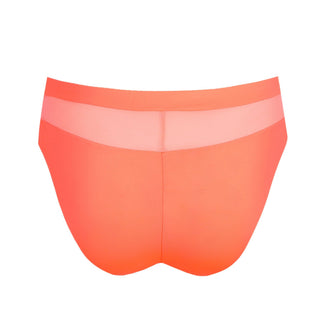 Prima Donna Sophora Rio Briefs SPZ