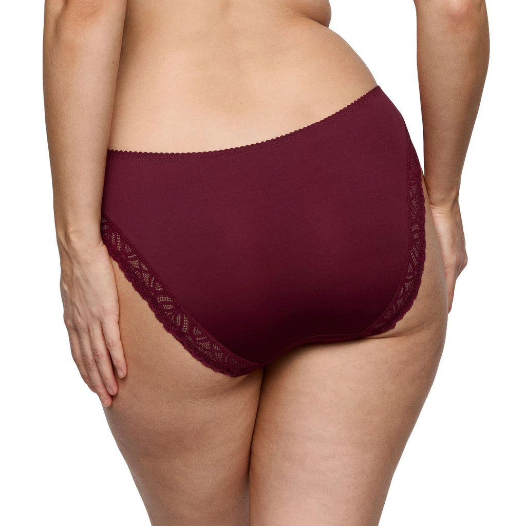 PrimaDonna Salerno Evening Red Rio Briefs Back
