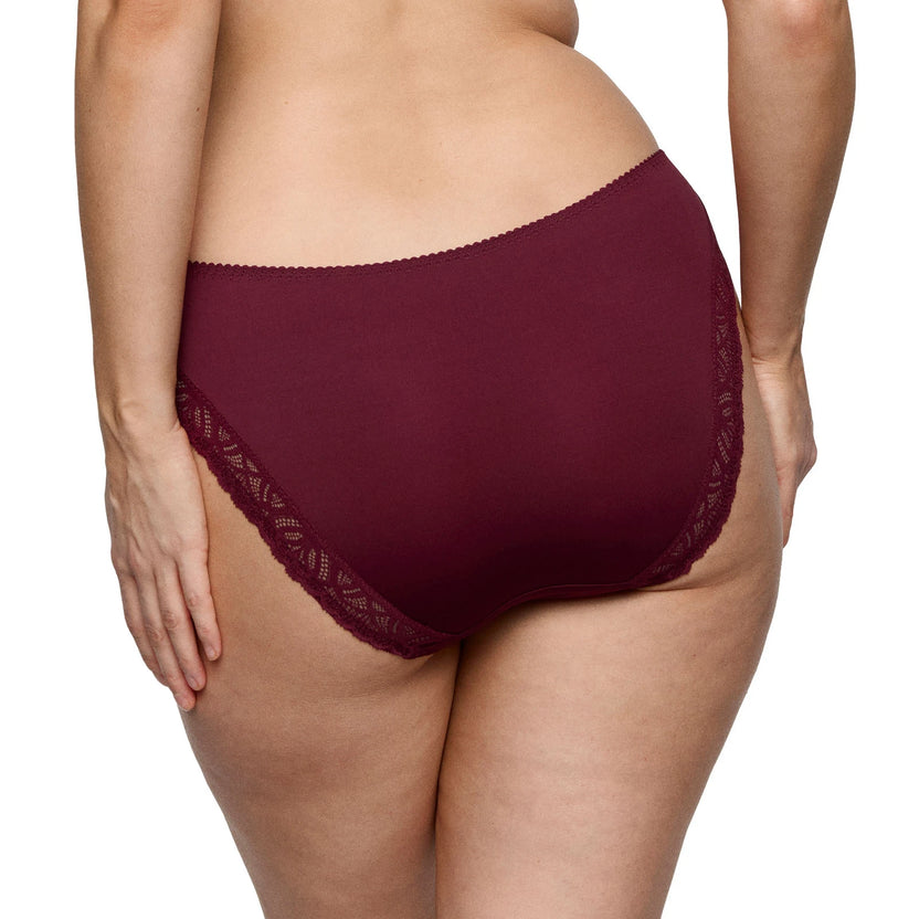 PrimaDonna Salerno Evening Red Rio Briefs Back