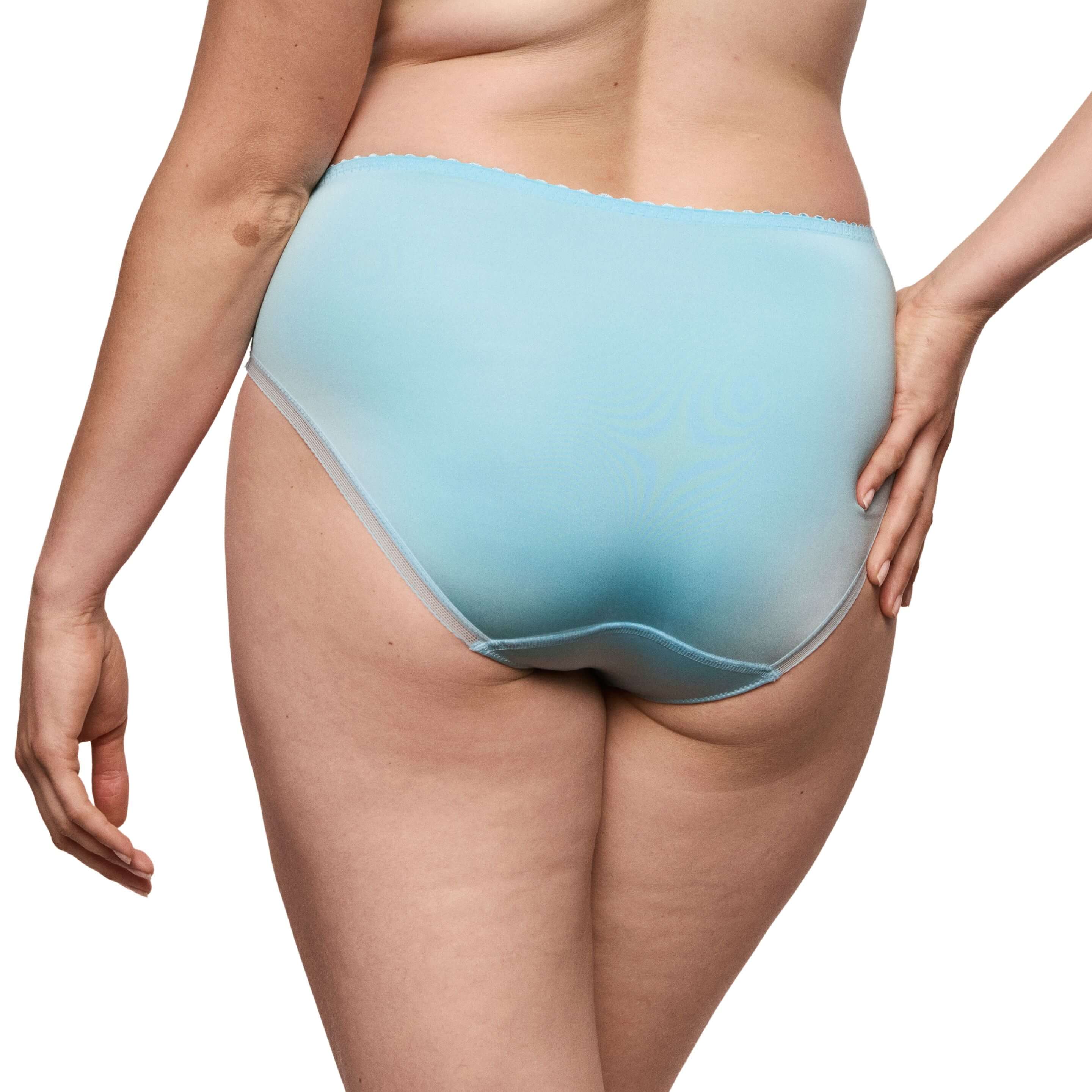Prima Donna Cala Luna Blue Full Briefs Back