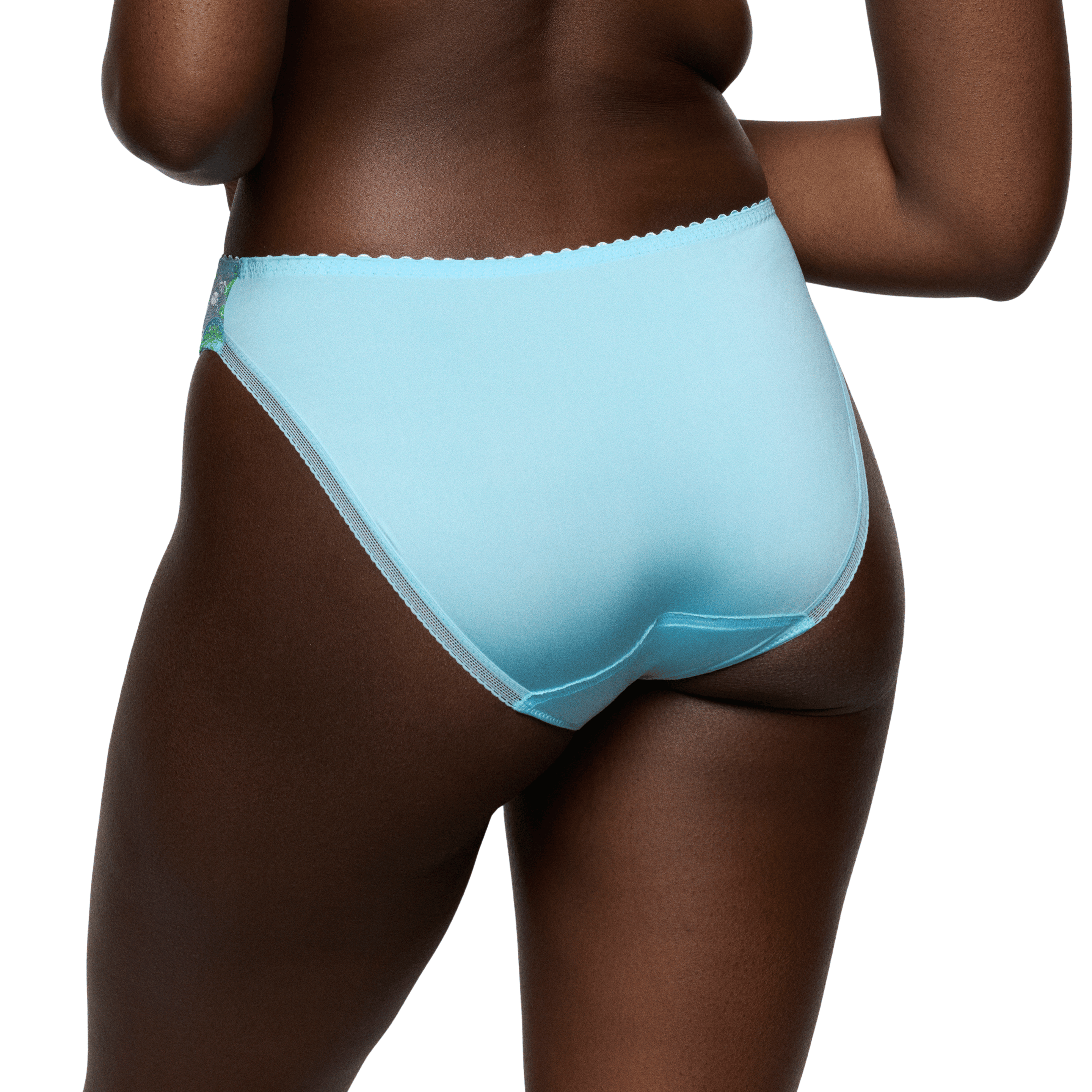 Prima Donna Cala Luna Ice Blue Rio Briefs Back