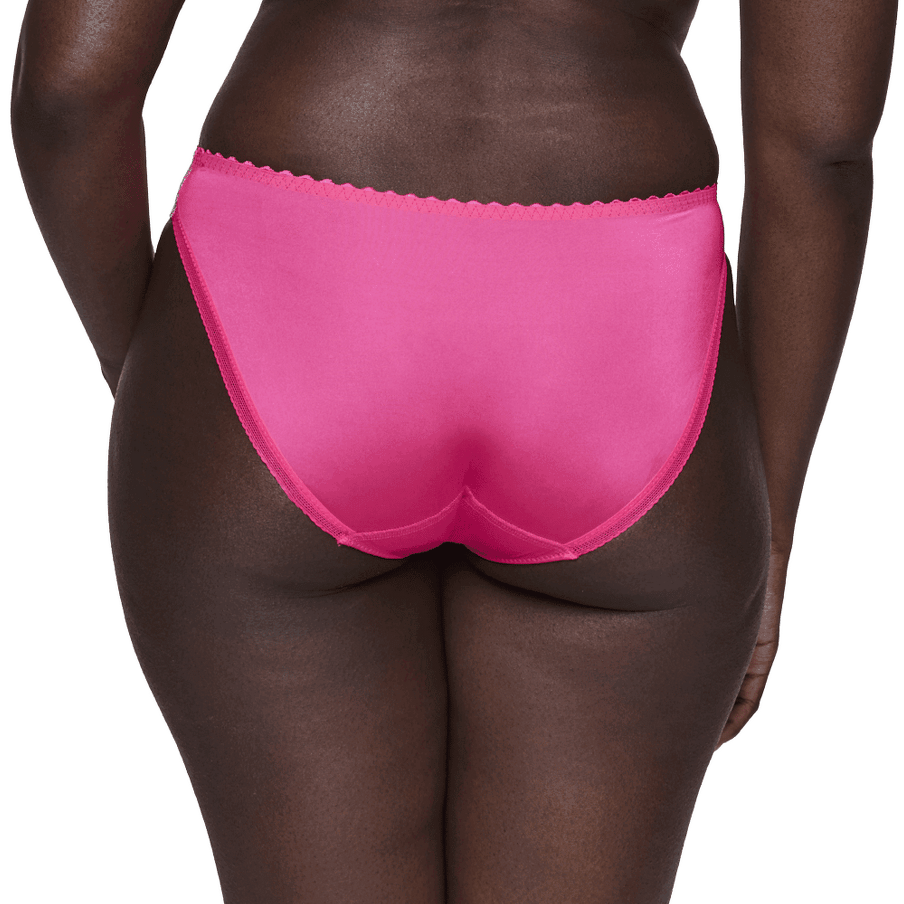 Prima Donna Cala Luna Pink Rio Briefs Back