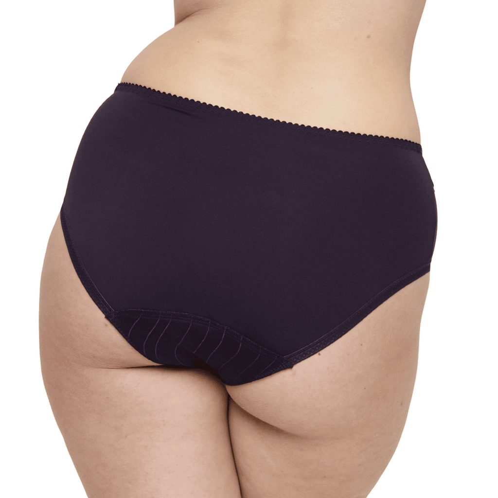 Prima Donna Deauville Purple Full Briefs Back