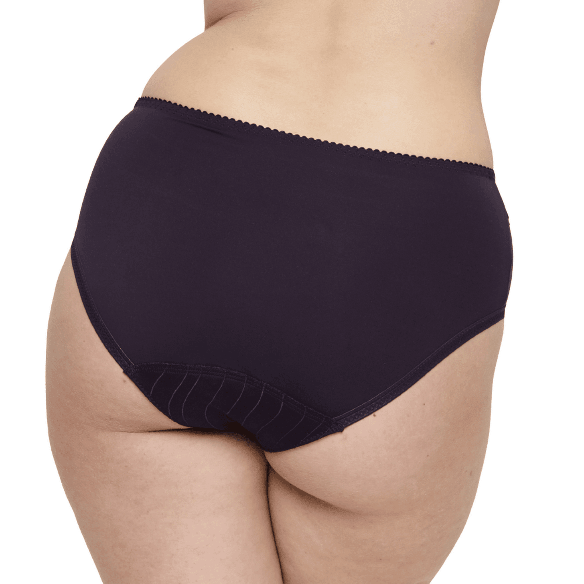 Prima Donna Deauville Purple Full Briefs Back