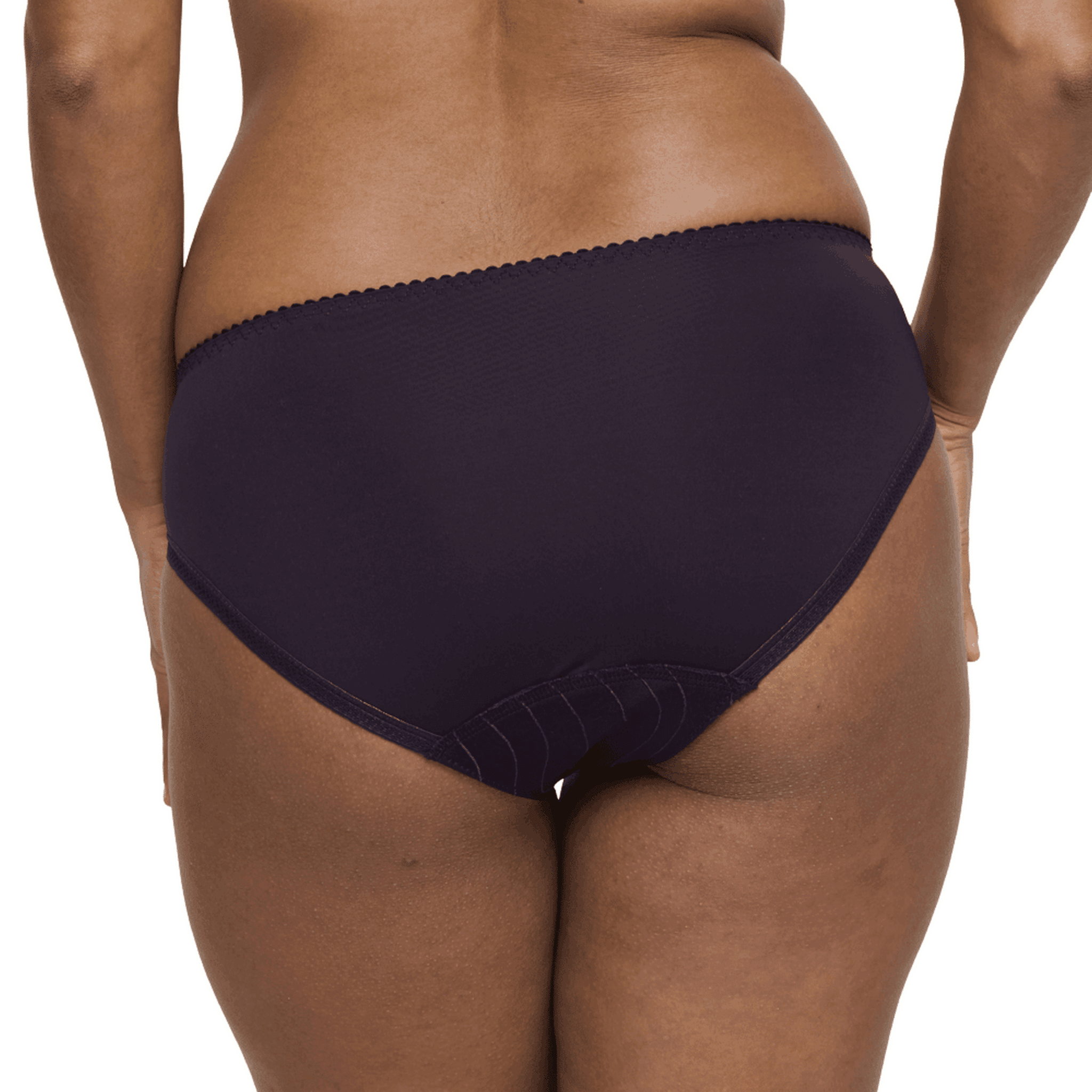 Prima Donna Deauville Purple Rio Briefs Back