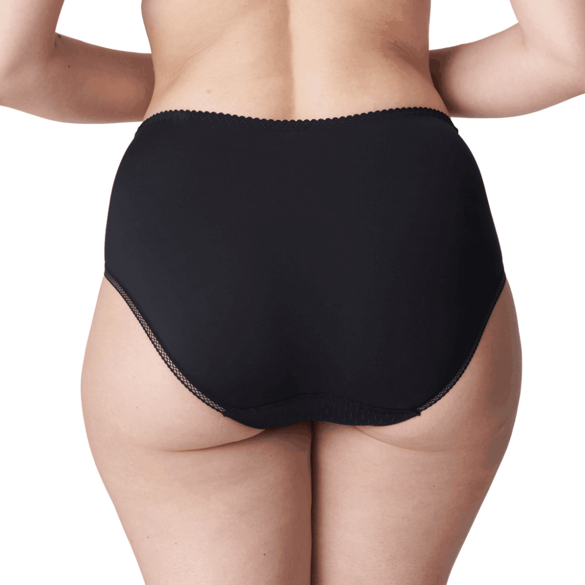 Prima Donna Orlando Black Full Briefs Back