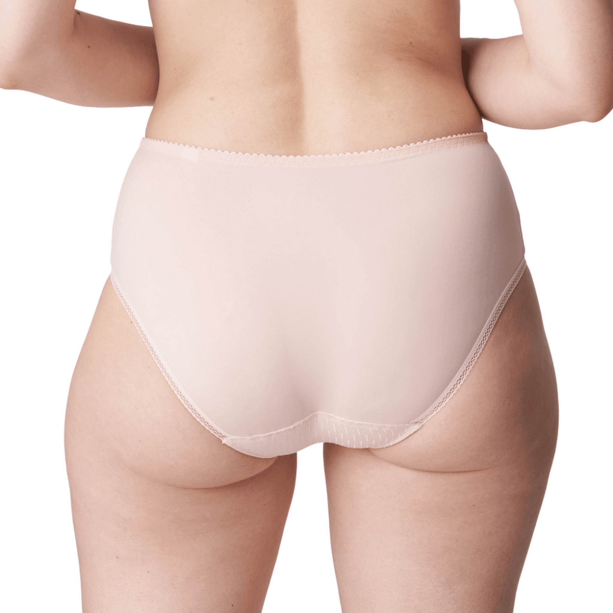 Prima Donna Orlando Pink Full Briefs Back